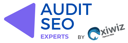 Expert en AUDIT SEO